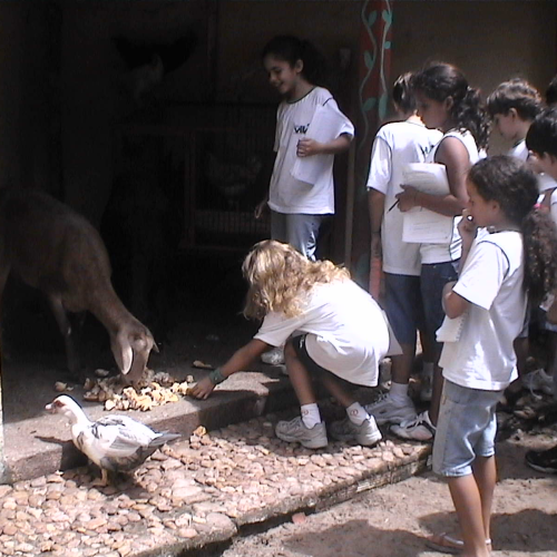 Laboratorios_Fauna_01