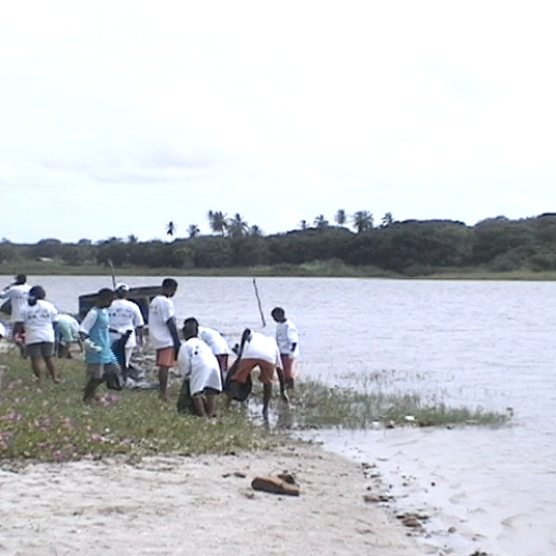 PDVD_010